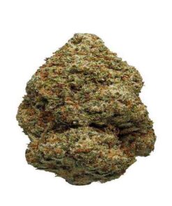 acapulco gold soort