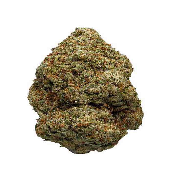 Differences Between Hash, Weed, and Cannabis Concentrates acapulco gold soort