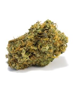 acapulco goud