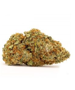 afghani kush