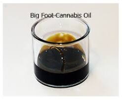 bigfoot cannabisolie