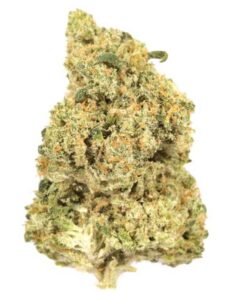 blue dream soort
