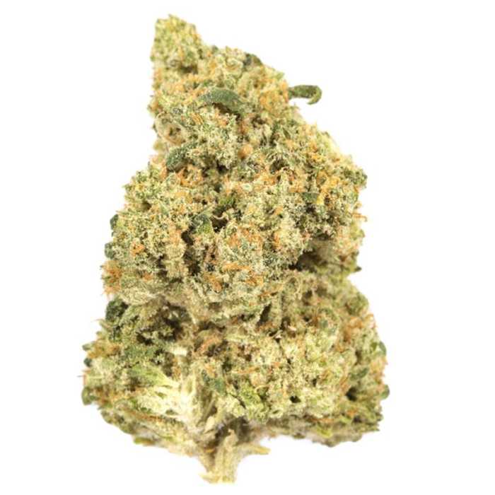 blue dream soort blue dream soort