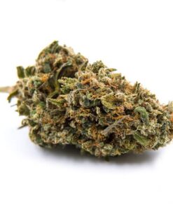 blueberry kush