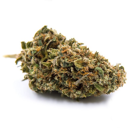blueberry kush blueberry kush