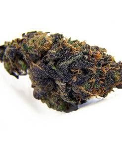 braambes kush