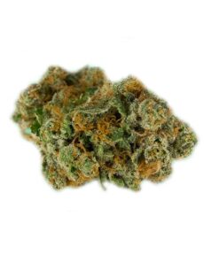 bruce banner stam