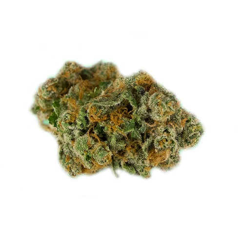 bruce banner stam bruce banner stam