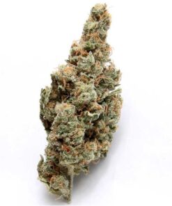 bruce banner stam