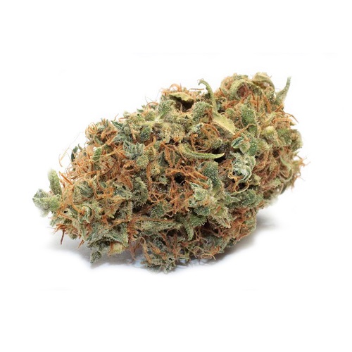 bubble gum strain bubble gum strain