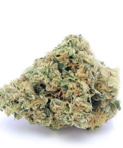cherry pie stam