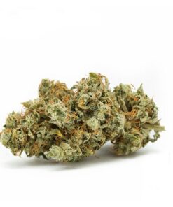 gorilla glue