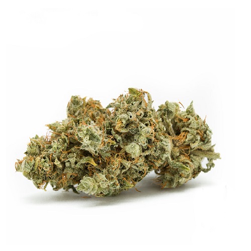 gorilla glue gorilla glue