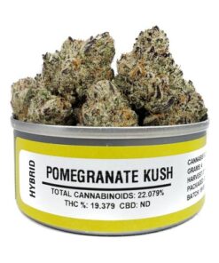 granaatappel kush