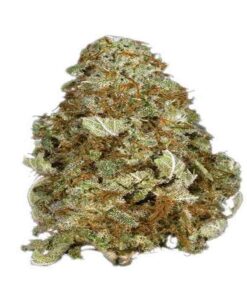 grape kush soort