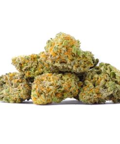 hawaiiaanse skunk