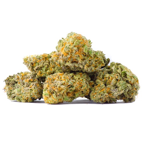 hawaiiaanse skunk hawaiiaanse skunk