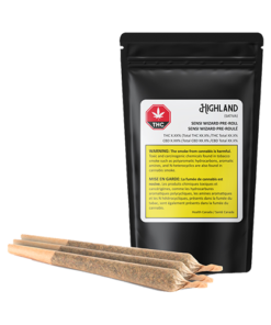 highland sensi wizard pre roll