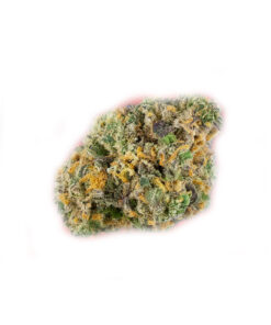 koop ak 47 strain