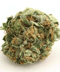koop ak 47 strain
