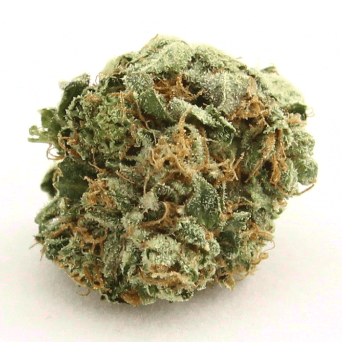 koop ak 47 strain koop ak 47 strain