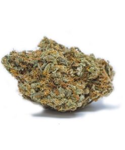 kosjere kush