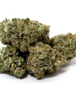meester kush