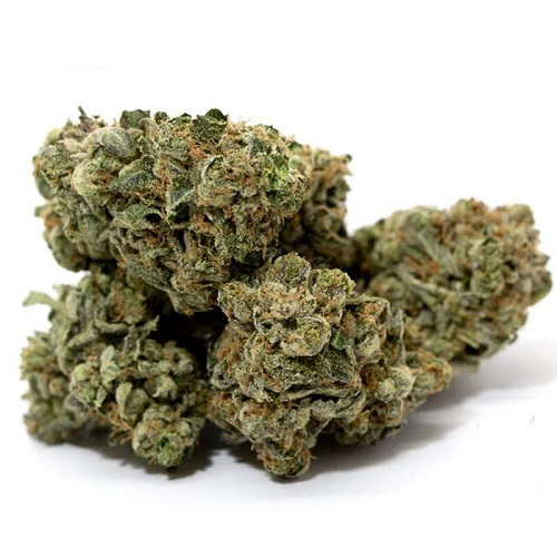 meester kush meester kush