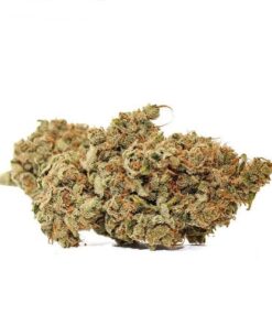 spooktrein haze