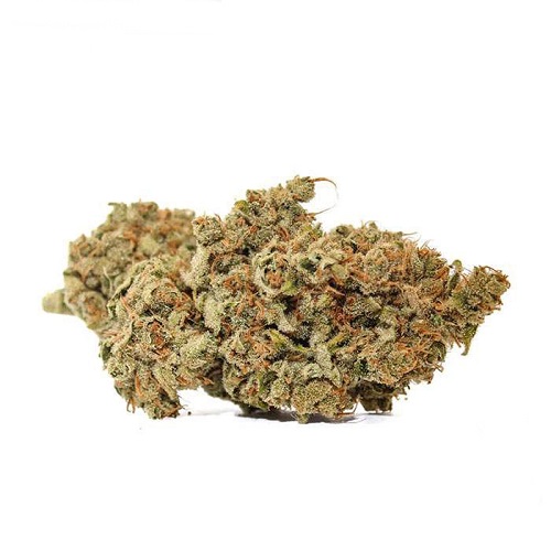 spooktrein haze spooktrein haze