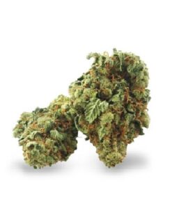 super zilveren haze