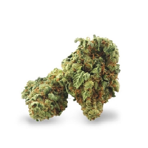 super zilveren haze super zilveren haze